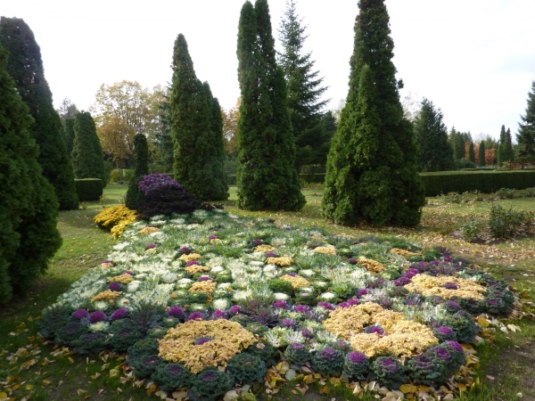 Gradina Botanica Din Iasi